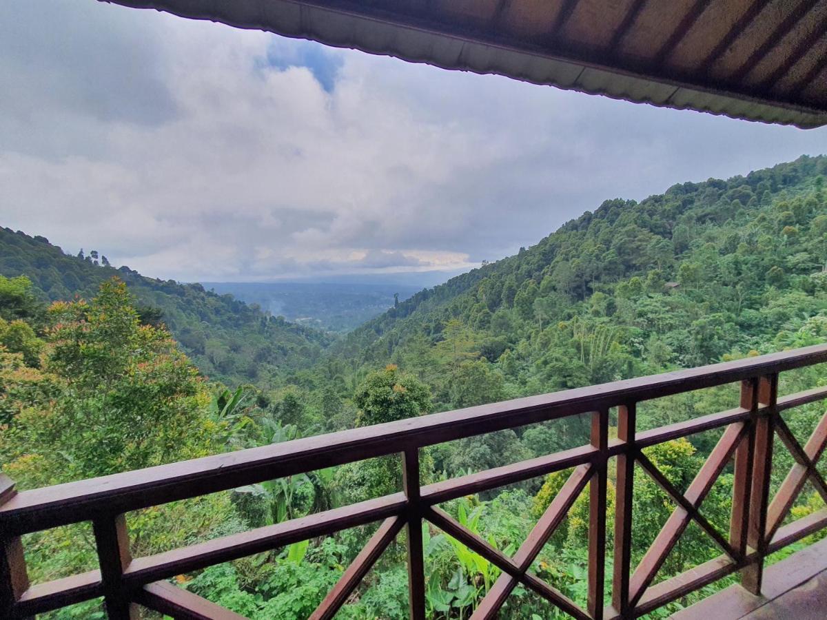 V View House * Munduk (Bali)