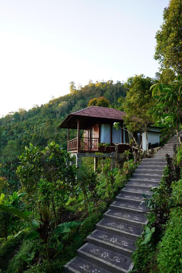 V View House Holiday home Munduk (Bali)