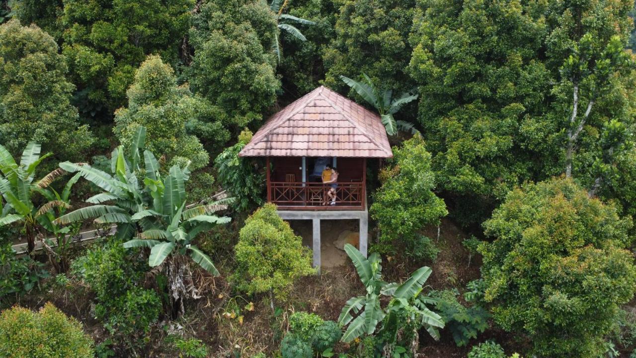 V View House Munduk